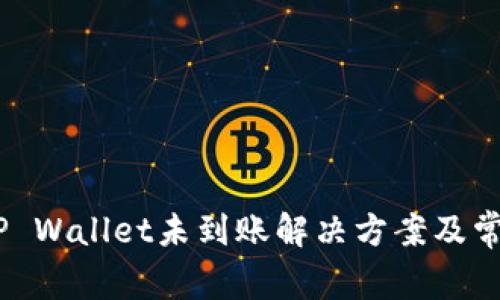 USDT提到TP Wallet未到账解决方案及常见问题解答