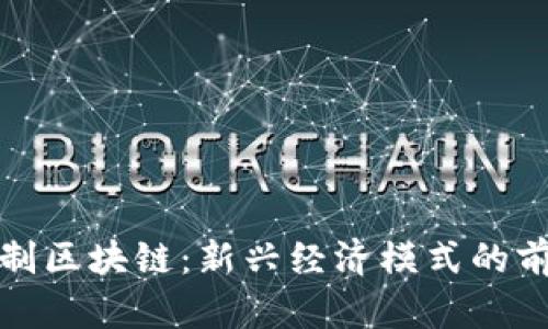 混合所有制区块链：新兴经济模式的前景与挑战