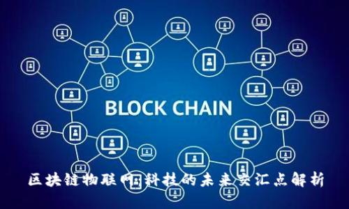 区块链物联网：科技的未来交汇点解析