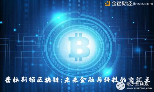 普林斯顿区块链：未来金融与科技的交汇点